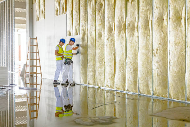 Best Types of Insulation in Merriam Woods, MO